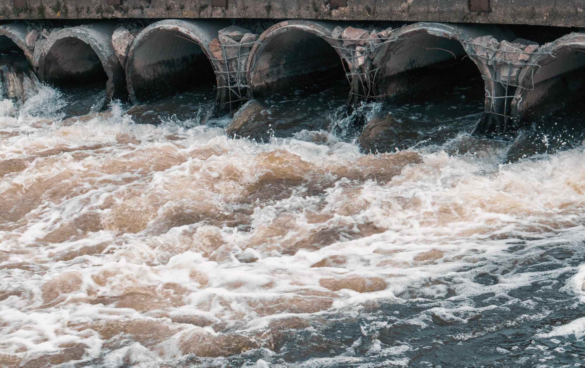Wniosek o umieszczenie w wykazie kąpielisk adwokatka Karolina Wierzbicka
