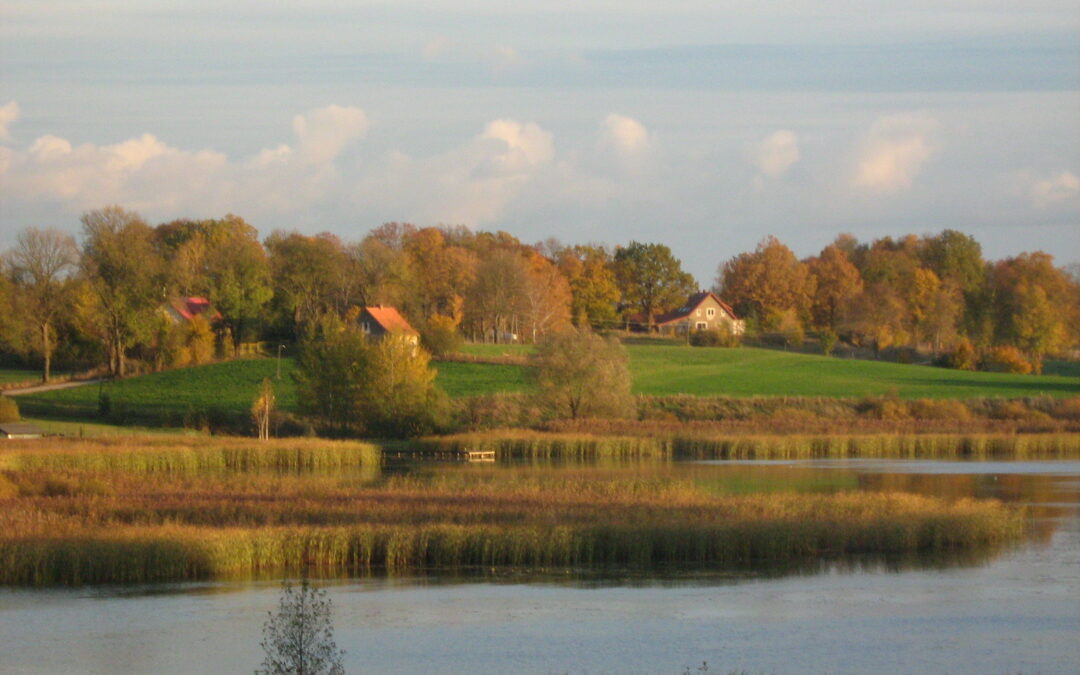 Odprowadzenie wody opadowej z dachów i tarasów