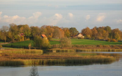 Odprowadzenie wody opadowej z dachów i tarasów