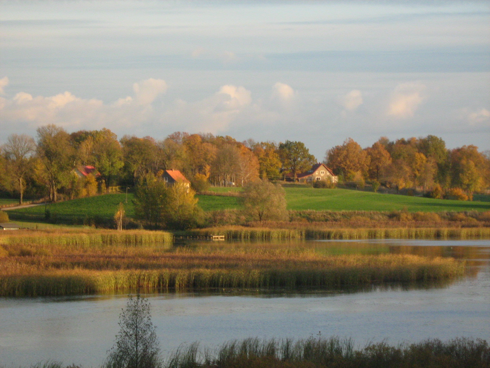 Drenaż wokół własnego domu - adwokatka Karolina Wierzbicka 