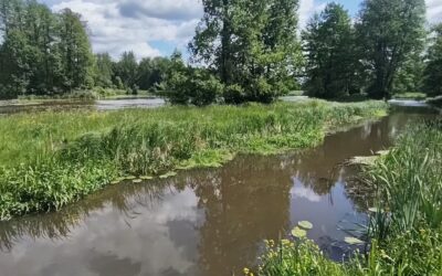Kiedy wygasa pozwolenie wodnoprawne? Najważniejsze zasady z art. 414 Prawa wodnego